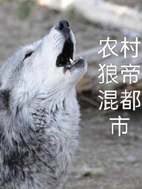 农村狼帝混都市 农村狼帝混都市