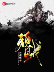 顽贼 顽贼