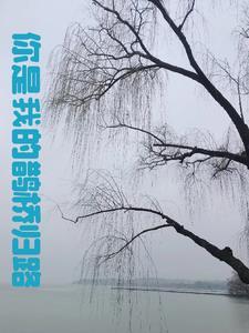 你是我的鹊桥归路 你是我的鹊桥归路