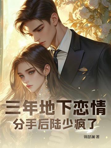 三年地下恋情,分手后陆少疯了 三年地下恋情,分手后陆少疯了