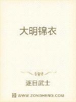 大明锦衣 大明锦衣