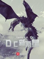 DC新氪星 DC新氪星